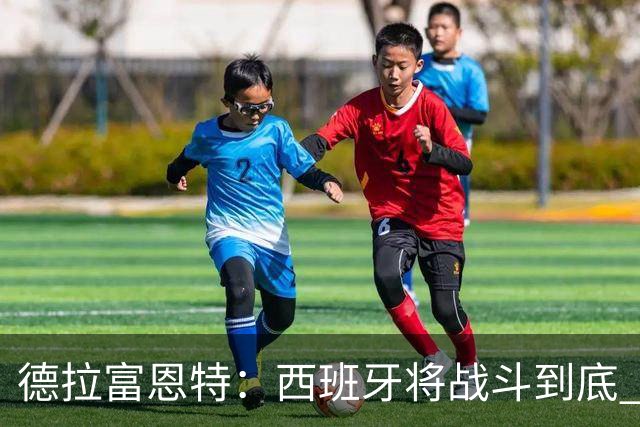 德拉富恩特：西班牙将战斗到底 巴西队仍然是诸强学习的榜样